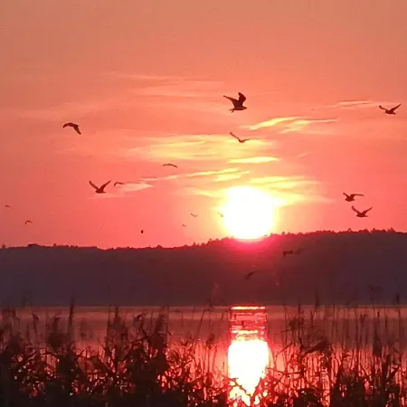 Ferienapartments Seeblick Dahmen Dahmen