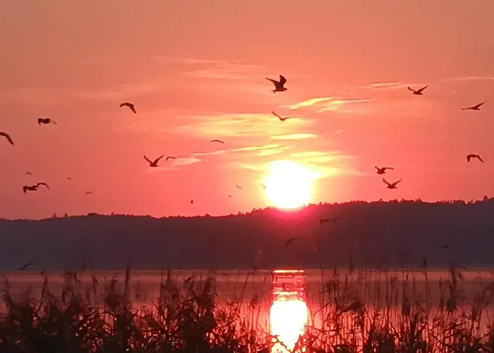 Ferienapartments Seeblick Dahmen Dahmen (Mecklenburg-Vorpommern)
